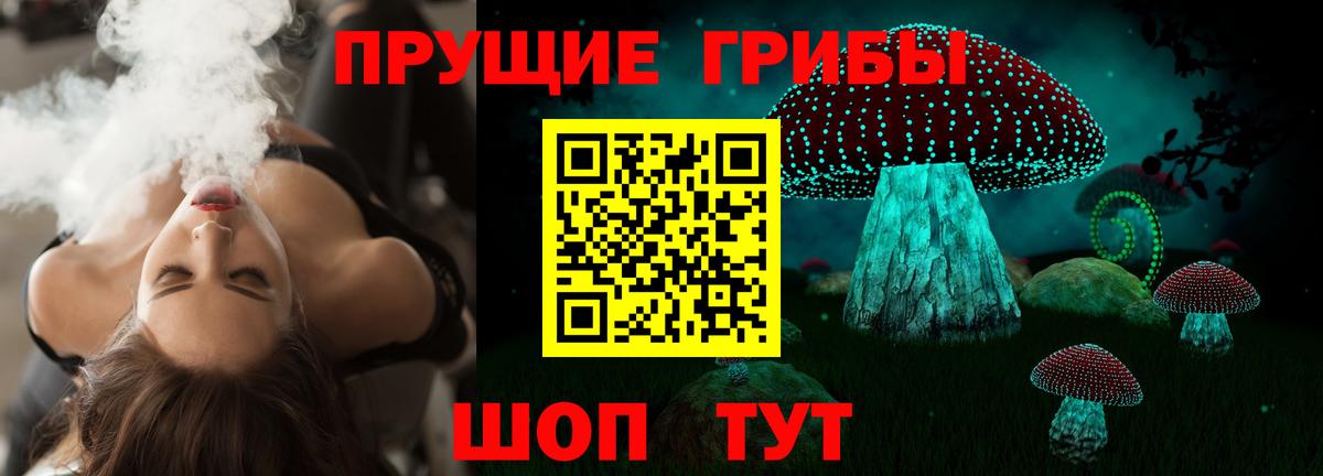 Псилоцибиновые грибы ЛСД  где можно купить   Вход с VPN  Кандалакша  Псилоцибиновые грибы Psilocybe 